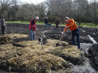 Zuiderparktuin 3