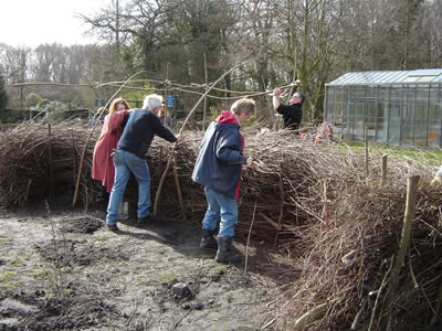 Zuiderparktuin 4