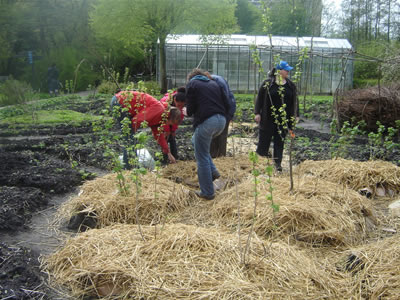 Zuiderparktuin 6