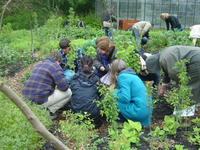 Zuiderparktuin 18