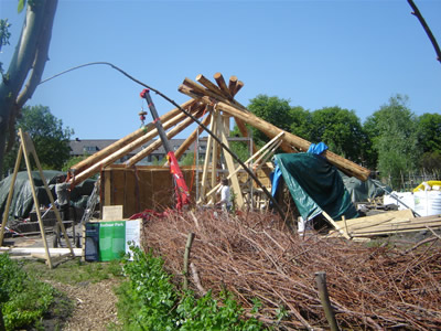 Zuiderparktuin 20